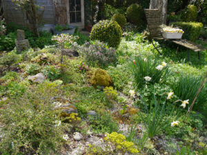 Der Steingarten Mitte April in Wurzerlsgarten