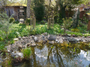 Der Teich im April in Wurzerlsgarten