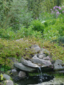 Am Teich im Sonnengarten des Landidylls Tjarks