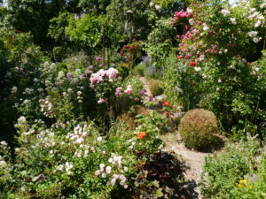 Im Oberen Garten, Anita Rau