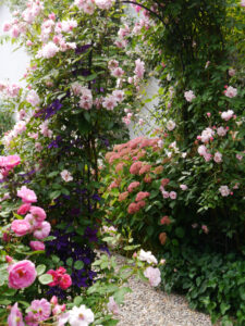 Rosenbogen im Schaugarten GALAROSA