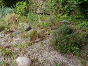 Steingarten Ende Juli in Wurzerlsgarten