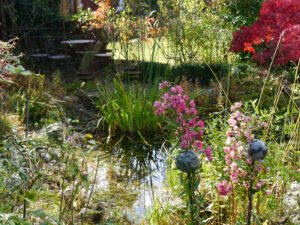 Das Mixed Border am Teich mit Rosa 'Alden Biesen' in Wurzerls Garten