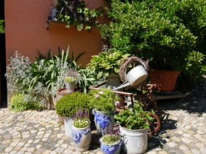 Die große Hofeinfahrt im Landgarten Birgit Helbig