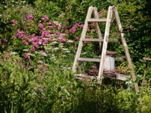 Rose 'Perennial Blue' im Landgarten Birgit Helbig