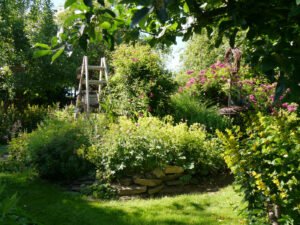 Rose 'Perennial Blue' im Landgarten Birgit Helbig