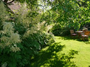 Großer Geißbart, Aruncus, vor der Sitzgruppe im Landgarten Birgit Helbig