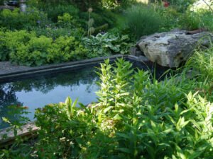 Wasser im Landgarten Birgit Helbig