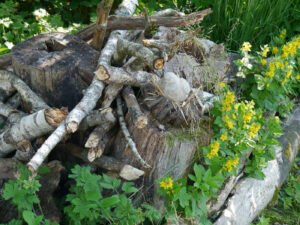 Natürliche Dekorationen im Landgarten Helbig