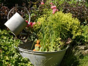 Natürliche Dekorationen im Landgarten Helbig