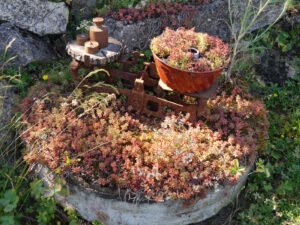 Alte Küchenwaage als Deko im Garten Birgit Helbig