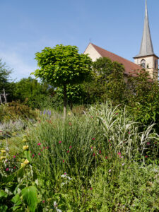 Garten-Oase Klaus Scheder