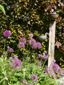 Im Garten Tanja Bohlken