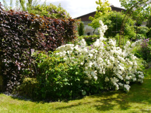 Garten Tanja Bohlken