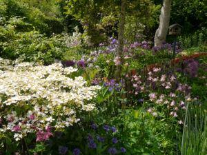 Der Garten von Tanja Bohlken