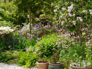 Der Garten von Tanja Bohlken