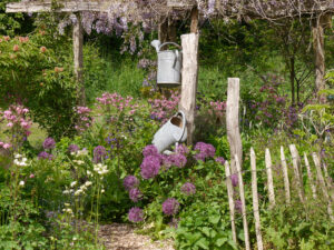 Wisteriapergola im Garten Tanja Bohlkens