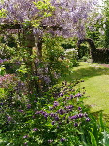 Wisteriapergola im Garten Tanja Bohlkens