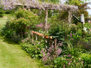 Wisteriapergola im Garten Tanja Bohlkens