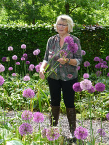 Hostagarten mit Allium 'Purple Sensation', Rika van Delden