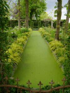 Im Wassergraben-Raritäten-Garten von Rika van Delden