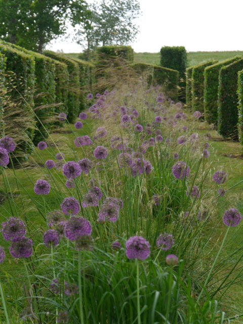 Ein neuer Gartenteil am Ende von Tuinfleur, Rika van Delden