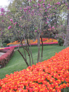 Das Tulpenfestival im April im Emirgan Stadtpark von Istanbul.