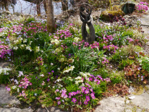 Das Frühlingsbeet im Ahorneck in Wurzerlsgarten