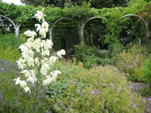 Kräutergarten von Abbey House Gardens