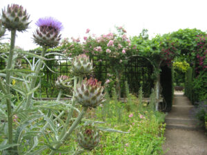 Im Kräutergarten Abbey House Gardens