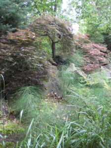 Weg zur Flussaue in Abbey House Gardens