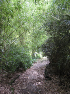 Weg zur Flussaue in Abbey House Gardens