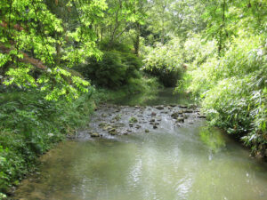 Am Fluss Abbey House Gardens