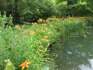 In der Flussaue Abbey House Gardens