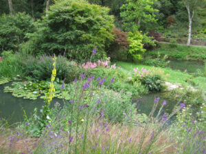 Fluss und Fischteich in Abbey House Gardens