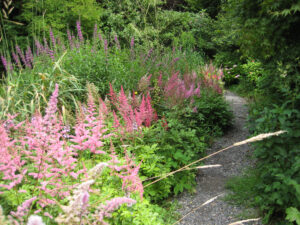 In der Flussaue von Abbey House Gardens