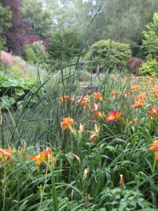 In der Flussaue von Abbey House Gardens