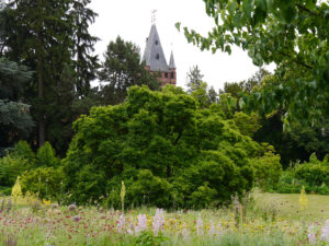 Hermannshof Weinheim