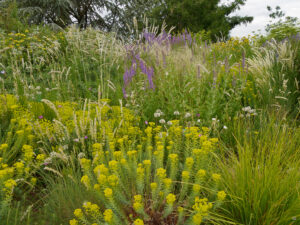 Felssteppe im Hermannshof