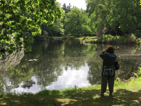 Schlosspark Lütetsburg 