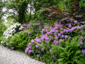 Der Elfengarten "Jan Wilde een Tuin"