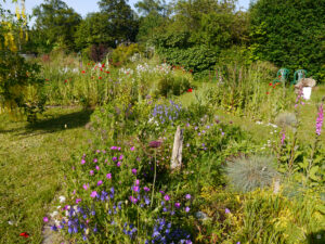 LATÜT - Garten Karin Berends-Lüürßen, Rhauderfehn