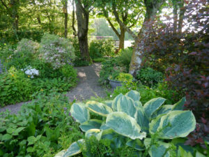 Garten Amanda und Arno Peters in Spetzerfehn