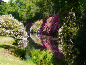 Schlosspark Lütetsburg