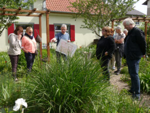 Führung durch Reinhard Schneider durch den Garten Pecoraro-Schneider, Knetzgau