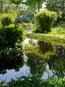 Wassergarten Meinhard