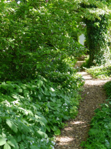 Im Schatten des Wassergartens Meinhard