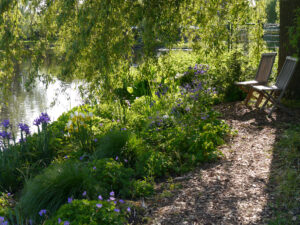 Im Wassergarten Meinhard