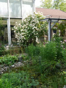 Wintergarten und Terrasse von Wurzerlsgarten