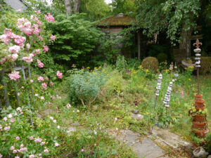 Rosa 'Bonica 82', Rosa 'Mozart', Rosa 'Fairy' in Wurzerlsgarten